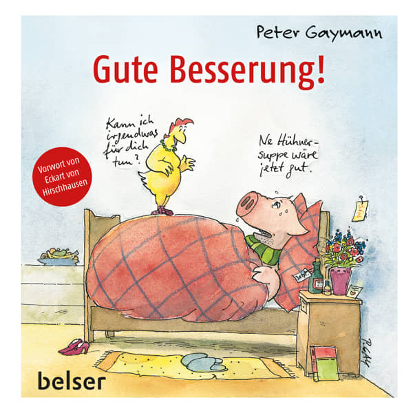 Peter Gaymann Buch Gute Besserung